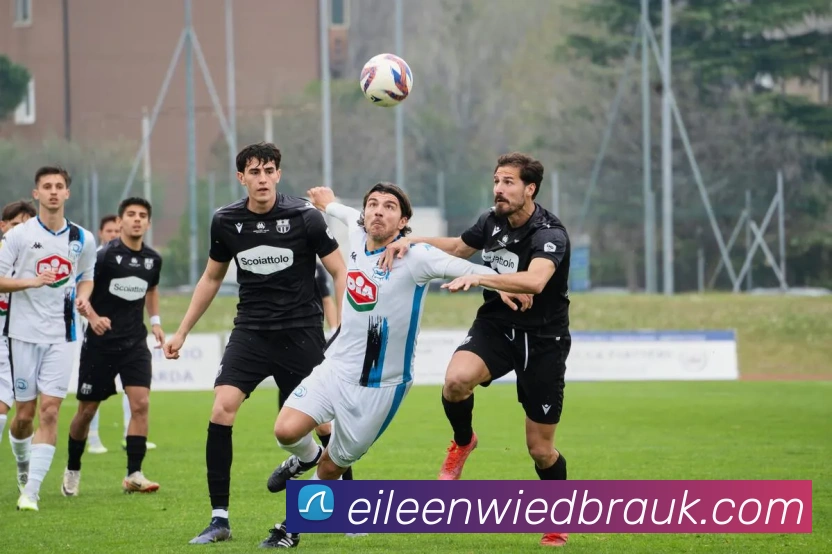 多终端兼容